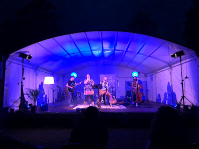 The Wild Collective – Liveband, DJ, Rednerin, Fotobox