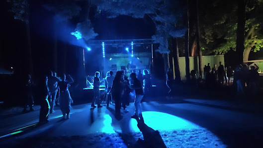Der Partymusikexpress